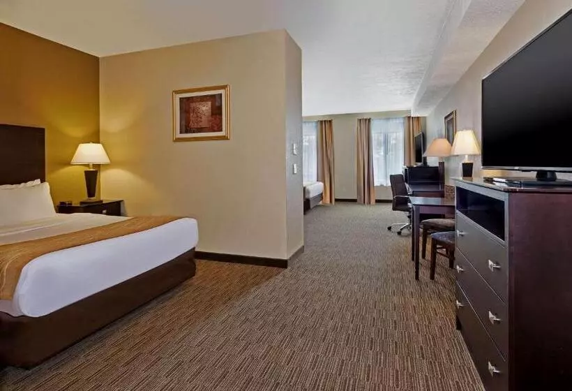 デラックススイート, Comfort Inn Whitehall Near Michigan S Adventure