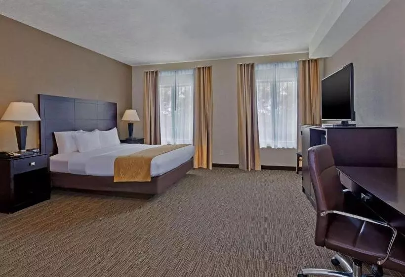 デラックススイート, Comfort Inn Whitehall Near Michigan S Adventure