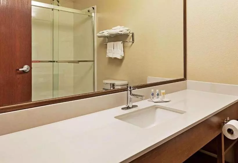 デラックススイート, Comfort Inn Whitehall Near Michigan S Adventure