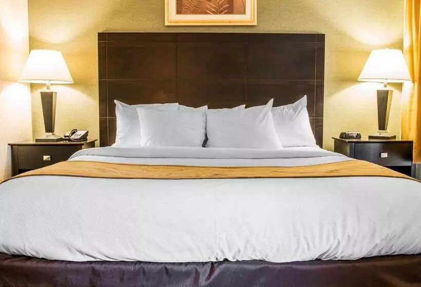 デラックススイート, Comfort Inn Whitehall Near Michigan S Adventure