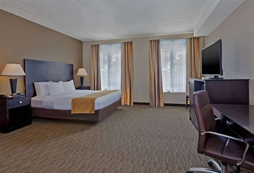 스탠다드 룸, Comfort Inn Whitehall Near Michigan S Adventure