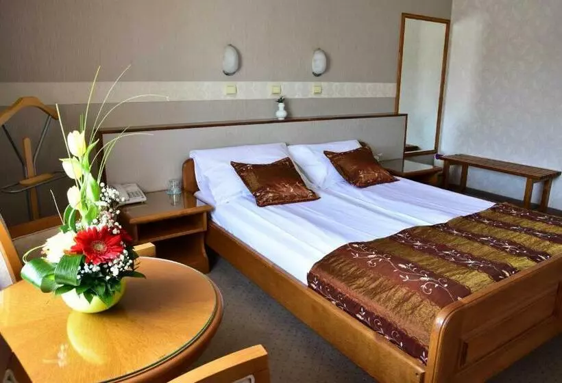 اتاق استاندارد, Garni Hotel Lav