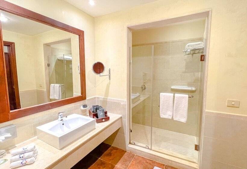 اتاق سوپریور با چشمانداز استخر, Gemma Resort