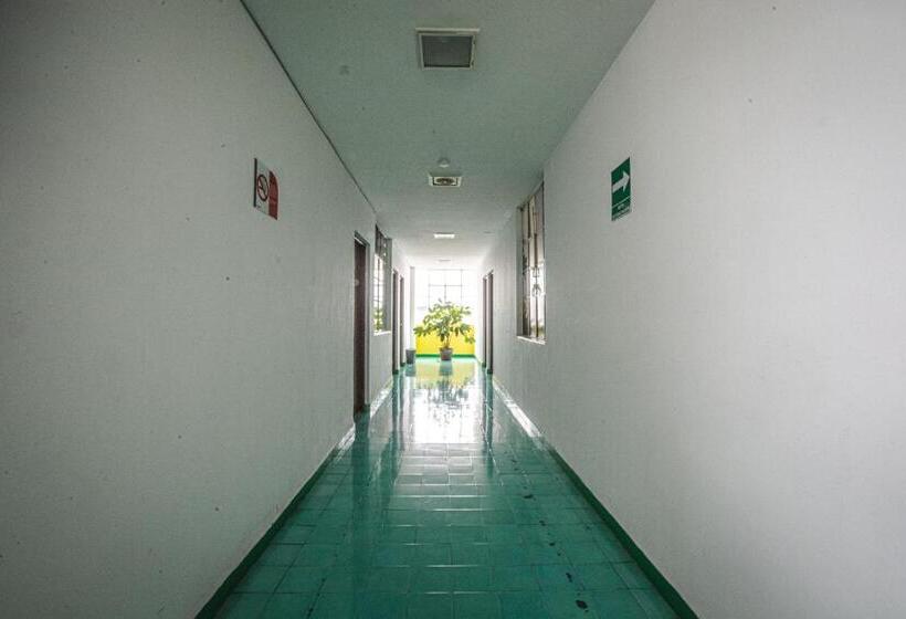 غرفة قياسية, Palacio