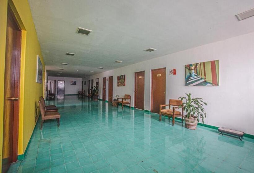 غرفة قياسية, Palacio