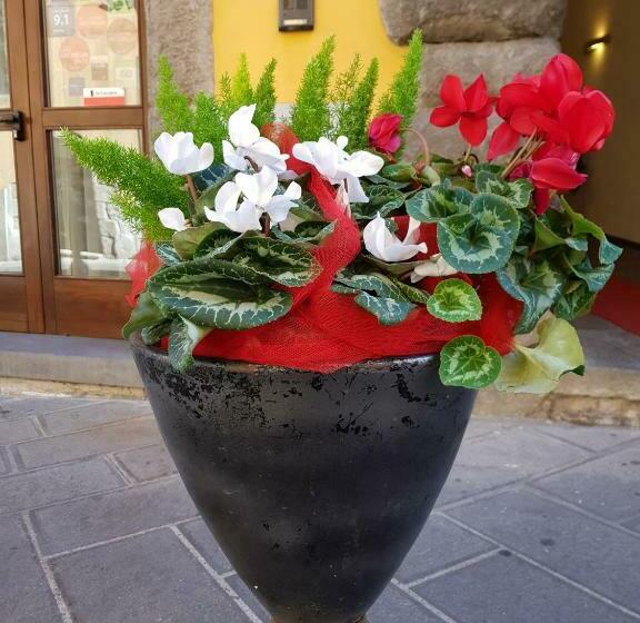 חדר סטנדרט, Urbano V