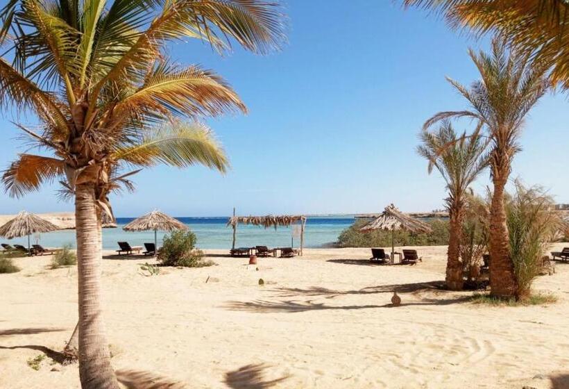 بانگلوی استاندارد, Mangrove Bay Resort