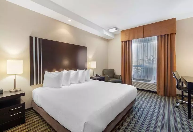 ジュニアスイート, Best Western Plus Sherwood Park Inn & Suites