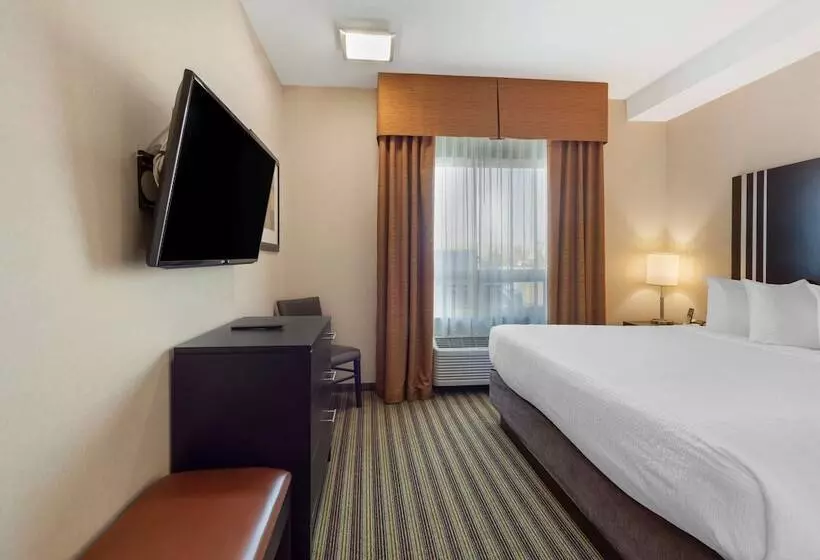 ジュニアスイート, Best Western Plus Sherwood Park Inn & Suites