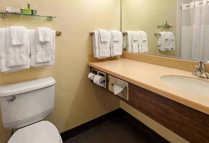 سوئیت با بالکن, Best Western Thompson