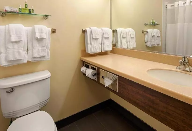 سوییت لوکس, Best Western Thompson