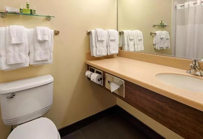 سوییت لوکس, Best Western Thompson