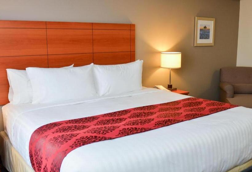 غرفة قياسية سرير كينج لذوى الإحتياجات الخاصة, Best Western Thompson