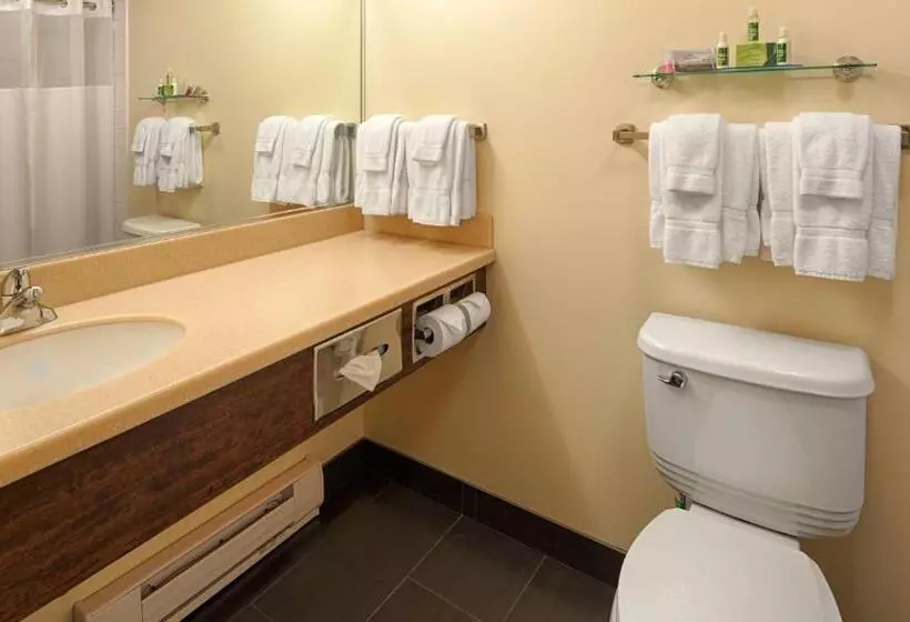سوئیت با بالکن, Best Western Thompson