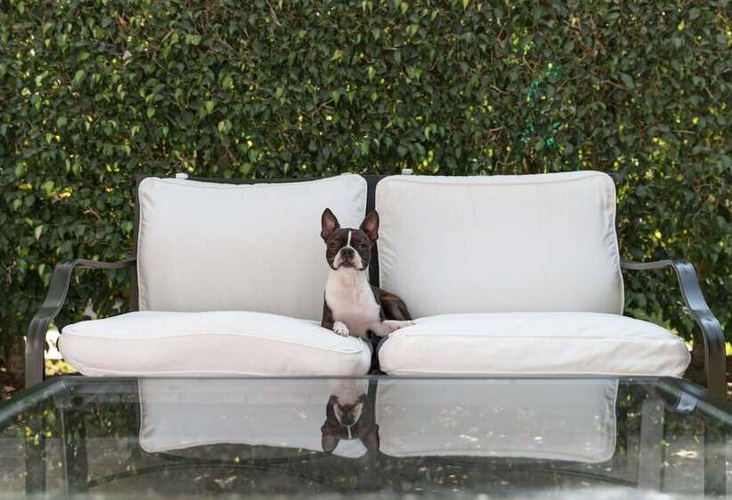 Люкс, Country Club Lima Hotel – The Leading Hotels Of The World