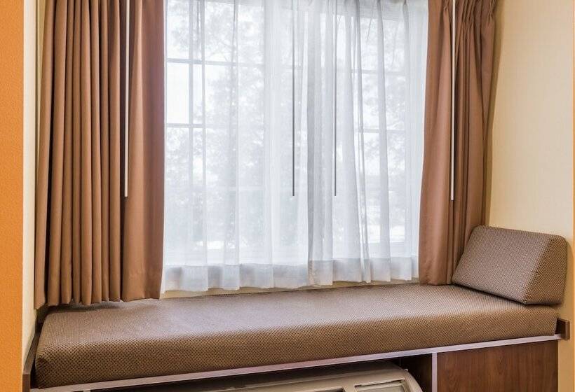 适合残疾人使用的标准间, Microtel Inn And Suites By Wyndham Anderson Sc