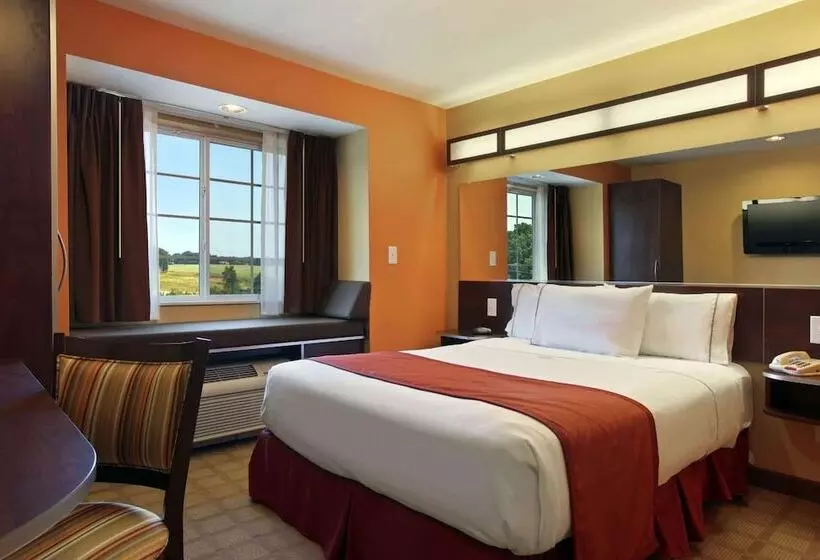 身障者適用スタンダードルーム, Microtel Inn And Suites By Wyndham Anderson Sc