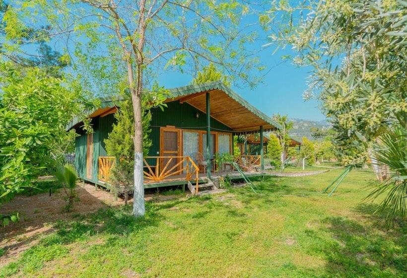 بانگلوی استاندارد, Etenna Beach Bungalows