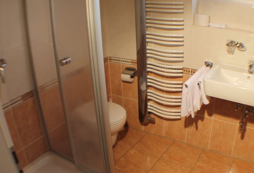 اتاق استاندارد یک نفره, Akzent Hotel Landgasthof Murrer