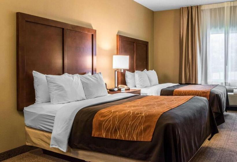 스탠다드 룸, Comfort Inn Columbia Lancaster