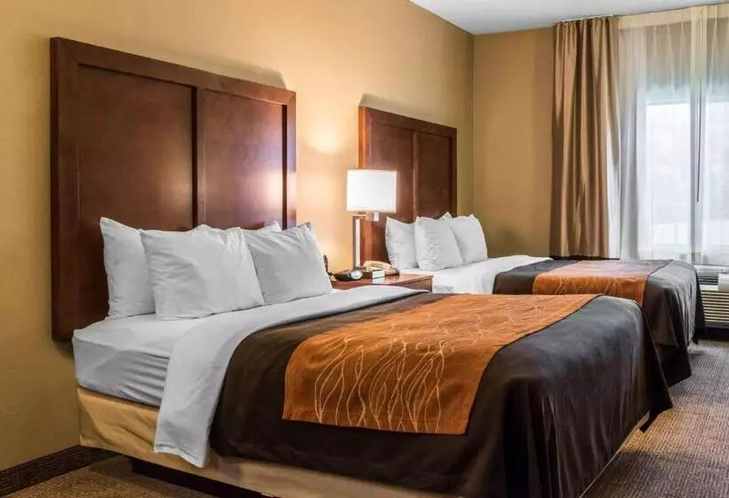 スタンダードルーム, Comfort Inn Columbia Lancaster