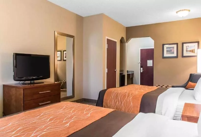 スタンダードルーム, Comfort Inn Columbia Lancaster