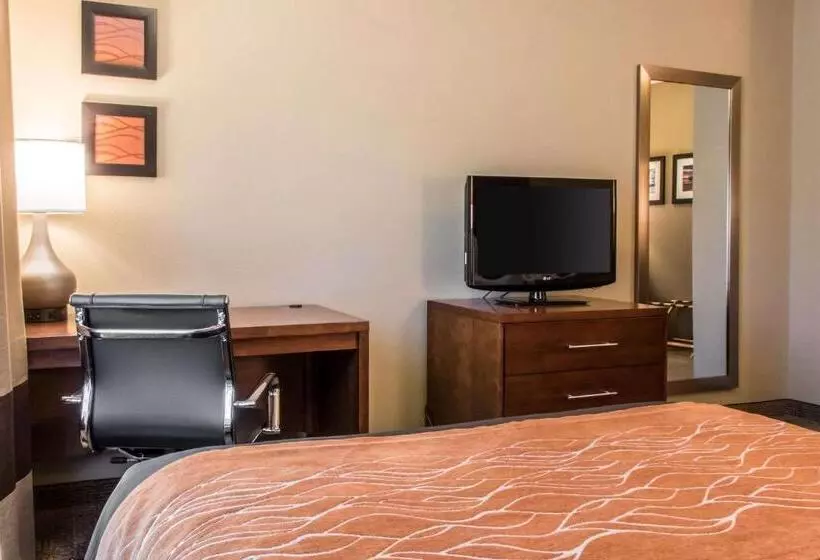 スタンダードルーム, Comfort Inn Columbia Lancaster