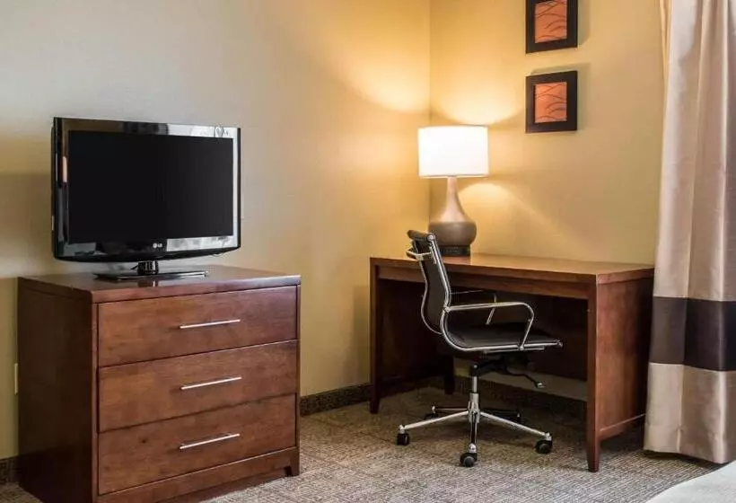 身障者適用キングサイズベッドルーム, Comfort Inn Columbia Lancaster