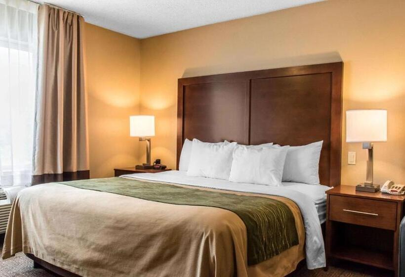 장애인을 위한 킹사이즈 침대 스탠다드 룸, Comfort Inn Columbia Lancaster