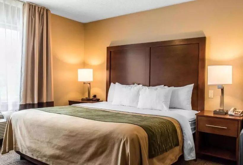 身障者適用キングサイズベッドルーム, Comfort Inn Columbia Lancaster