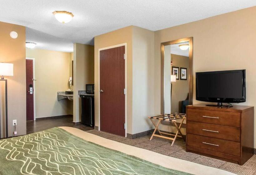 장애인을 위한 킹사이즈 침대 스탠다드 룸, Comfort Inn Columbia Lancaster