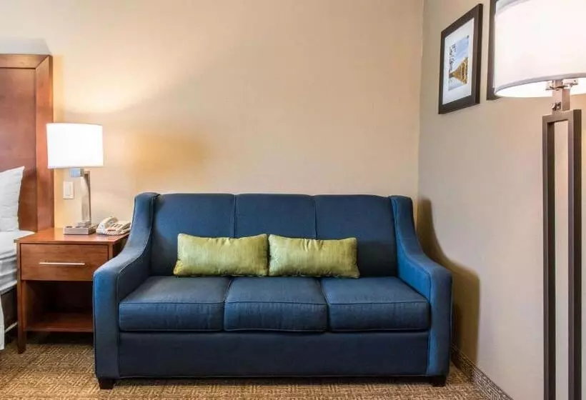 身障者適用キングサイズベッドルーム, Comfort Inn Columbia Lancaster