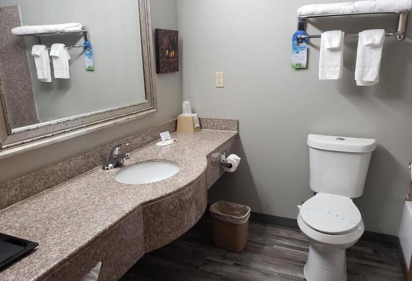 Студио Стандарт Кровать Кинг, Days Inn & Suites By Wyndham Cleburne Tx
