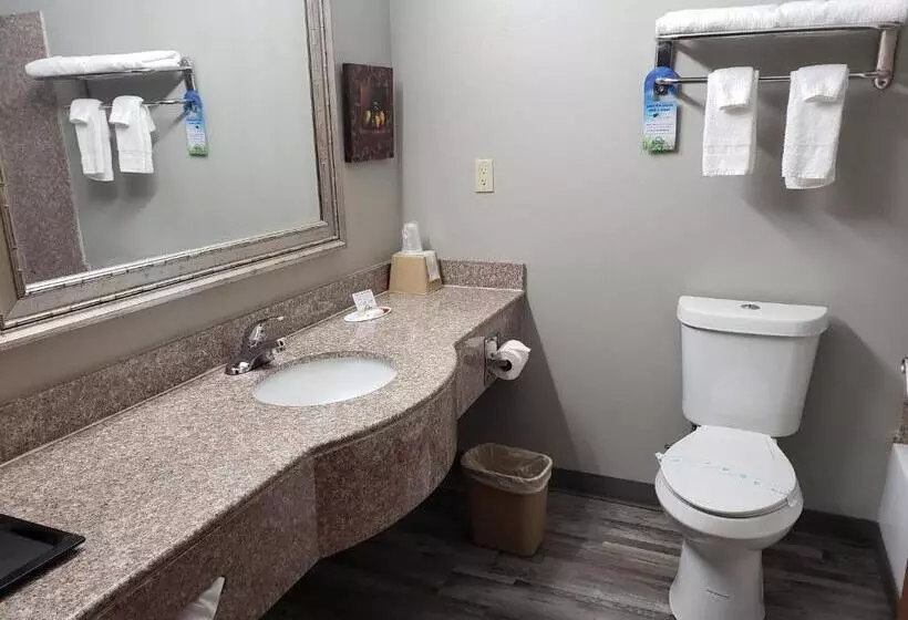 スタンダードスタジオ, Days Inn & Suites By Wyndham Cleburne Tx