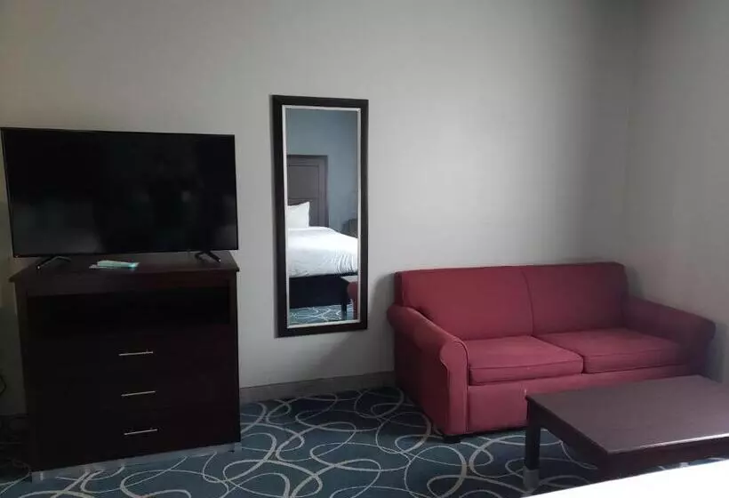 デラックススタジオ, Days Inn & Suites By Wyndham Cleburne Tx