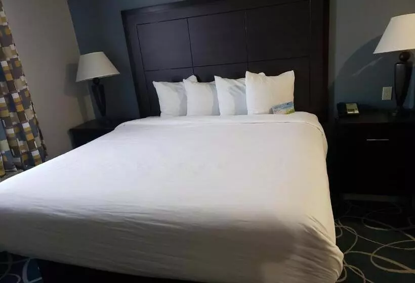 キングサイズベッドのスタンダードルーム, Days Inn & Suites By Wyndham Cleburne Tx