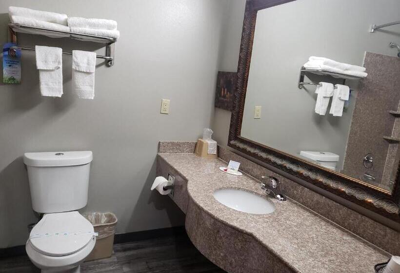 غرفة قياسية لذوى الاحتياجات الخاصة, Days Inn & Suites By Wyndham Cleburne Tx