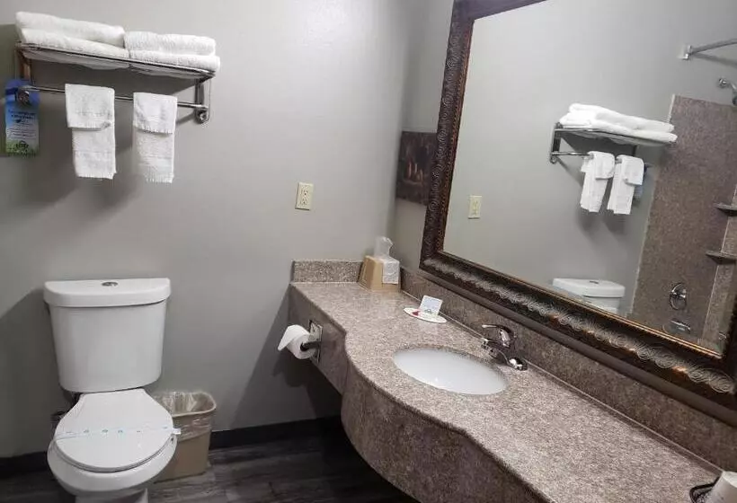 身障者適用スタンダードルーム, Days Inn & Suites By Wyndham Cleburne Tx