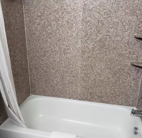 身障者適用スタンダードルーム, Days Inn & Suites By Wyndham Cleburne Tx