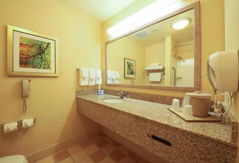 キングサイズベッドのスタンダードルーム, Fairfield Inn & Suites By Marriott Cordele