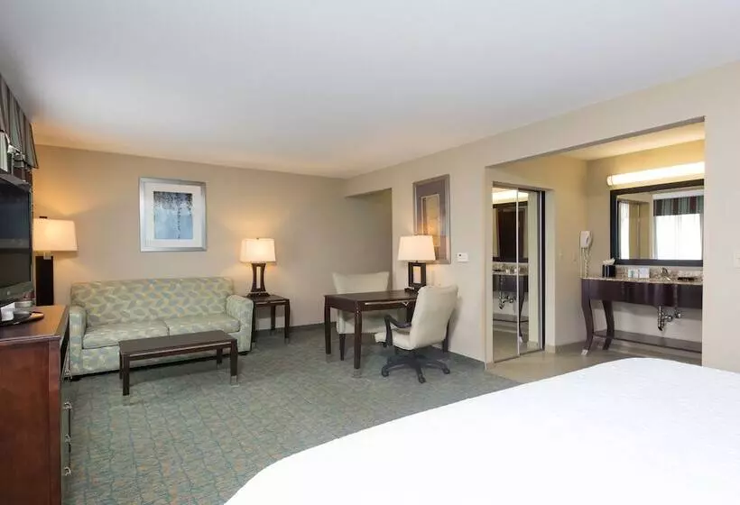 キングサイドベッドのスタンダードワンルーム, Hampton Inn & Suites Crawfordsville