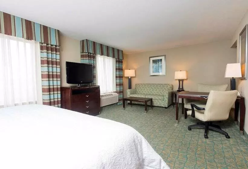 キングサイドベッドのスタンダードワンルーム, Hampton Inn & Suites Crawfordsville