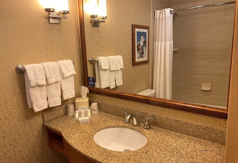 스탠다드 룸, Hilton Garden Inn Fort Worth Medical Center