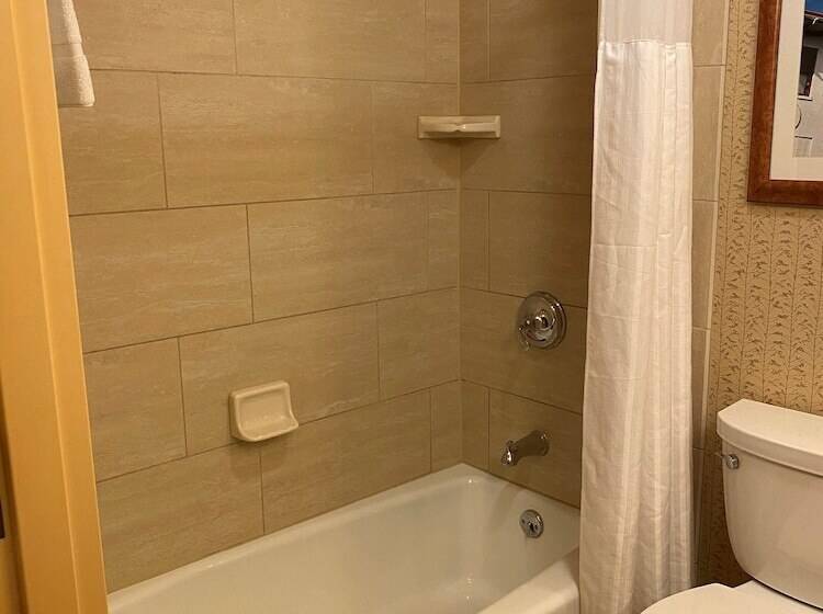 Habitació Estàndard, Hilton Garden Inn Fort Worth Medical Center