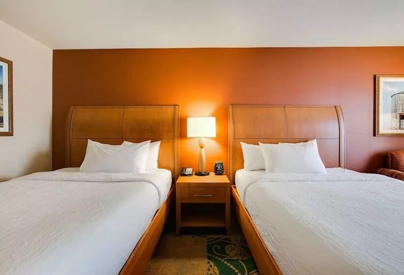 اتاق استاندارد, Hilton Garden Inn Fort Worth Medical Center