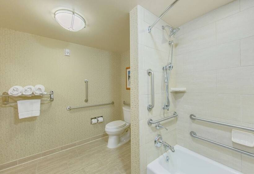 스탠다드 룸, Hilton Garden Inn Fort Worth Medical Center