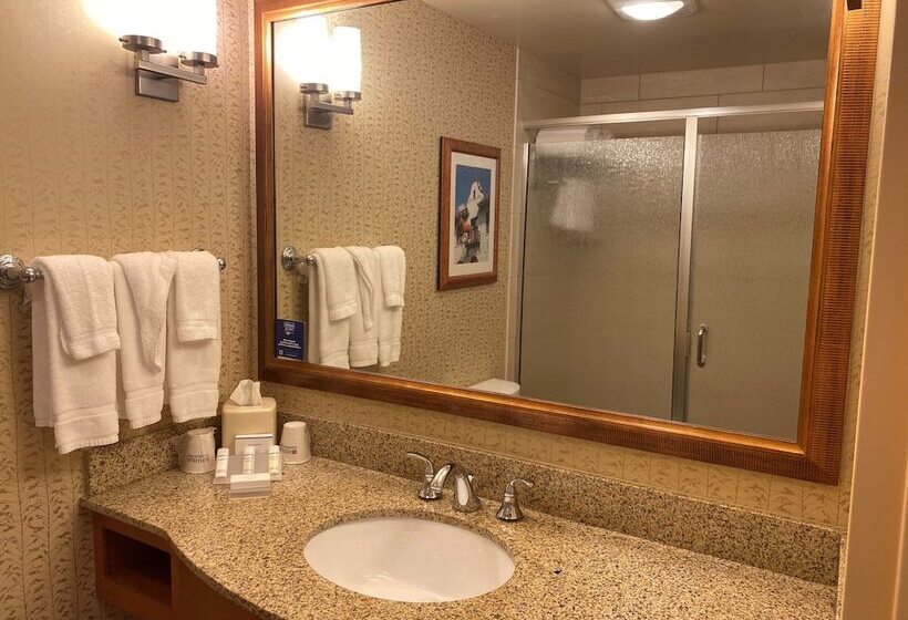 스탠다드 룸, Hilton Garden Inn Fort Worth Medical Center