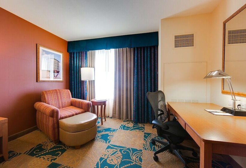 스탠다드 룸, Hilton Garden Inn Fort Worth Medical Center