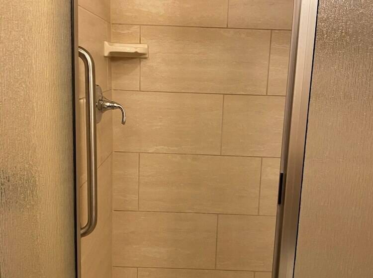 Habitació Estàndard, Hilton Garden Inn Fort Worth Medical Center
