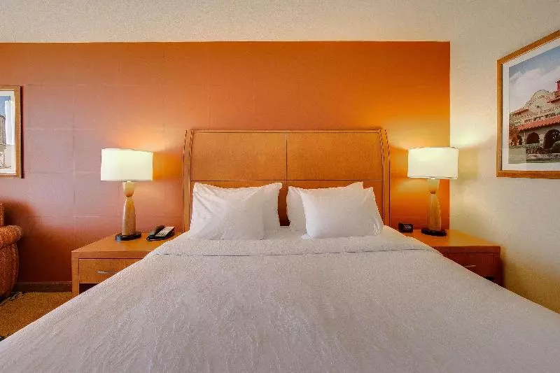 اتاق استاندارد با تخت بزرگ, Hilton Garden Inn Fort Worth Medical Center
